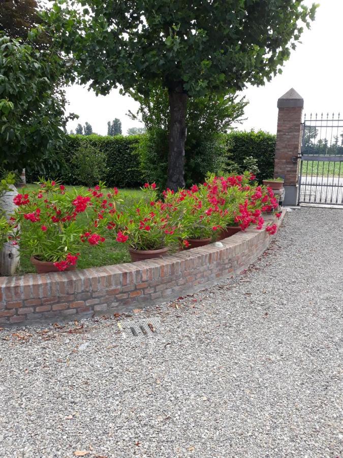 Al Sit Ed Marino Bed & Breakfast Castel Maggiore Exterior foto