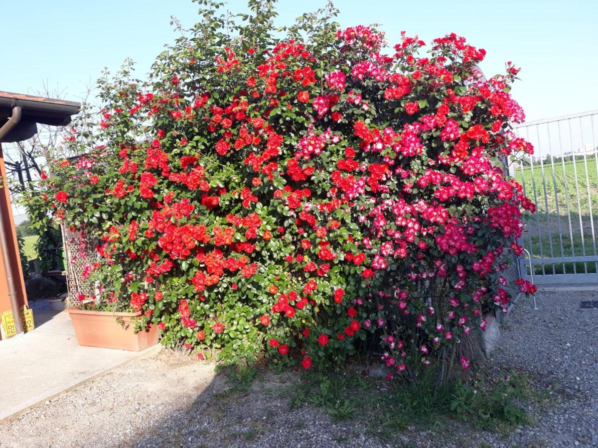 Al Sit Ed Marino Bed & Breakfast Castel Maggiore Exterior foto